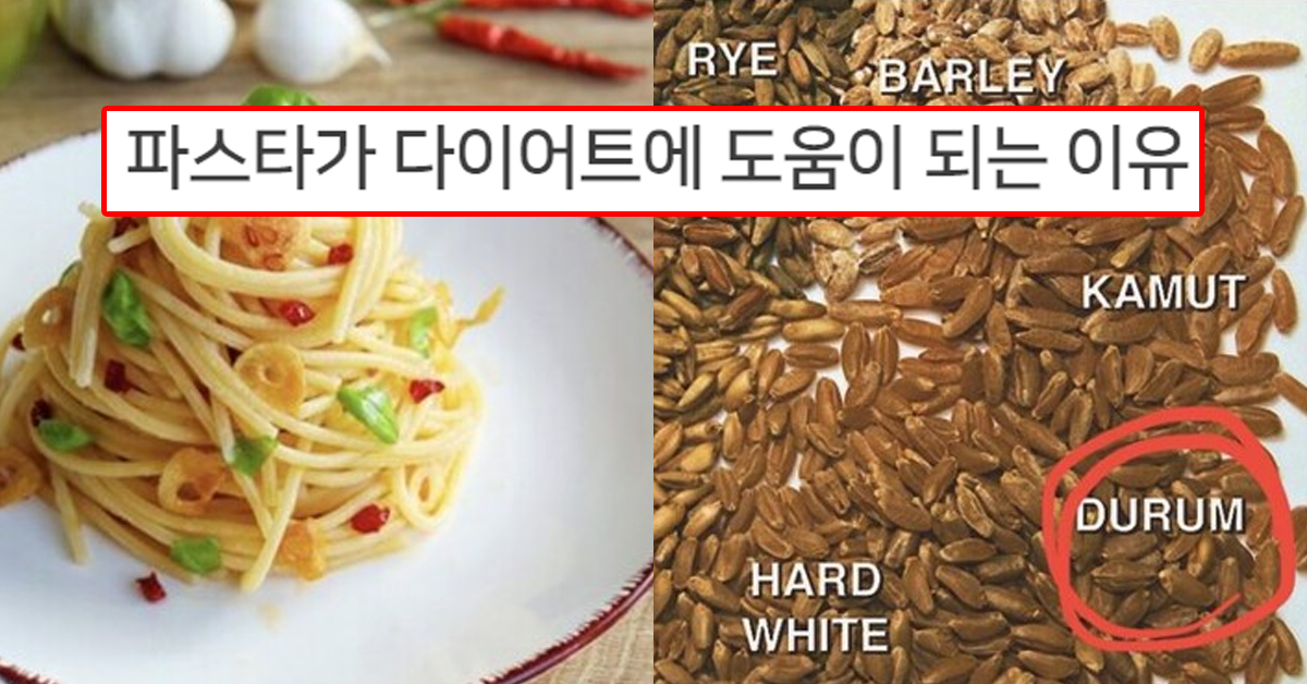 파스타가 다이어트에 도움이 되는 이유
