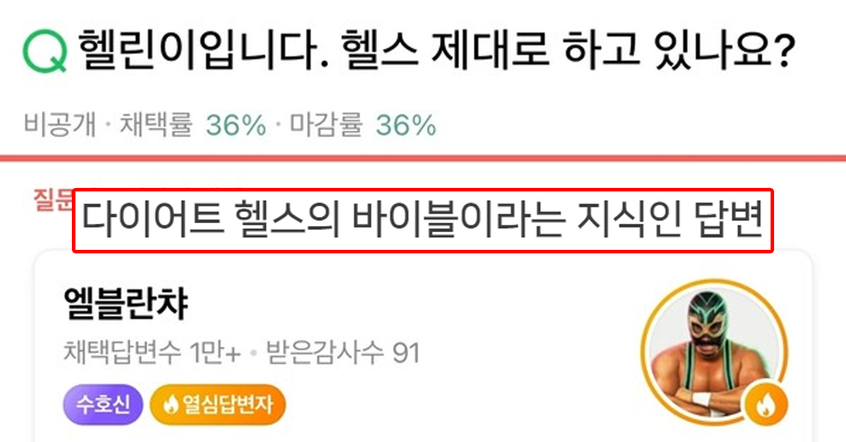 다이어트 헬스의 바이블이라는 지식인 답변