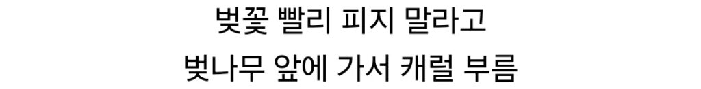 중요한 건 꺾였는데도 그냥 하던 대청호 벚꽃축제 근황