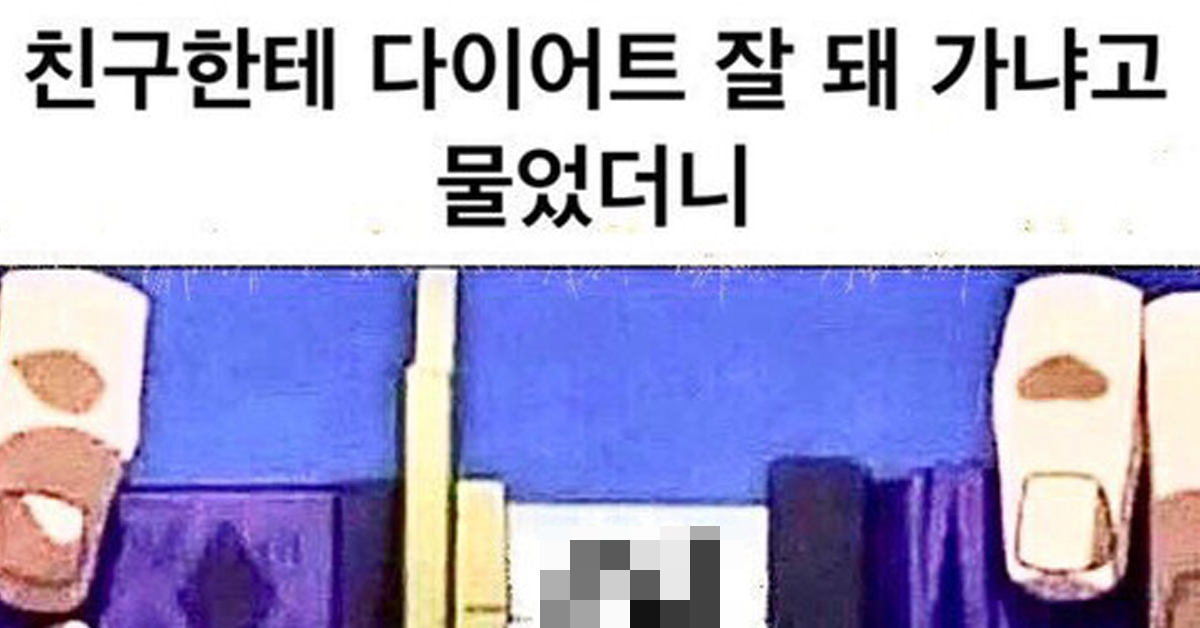 친구한테 다이어트 잘 돼 가냐고 물었더니