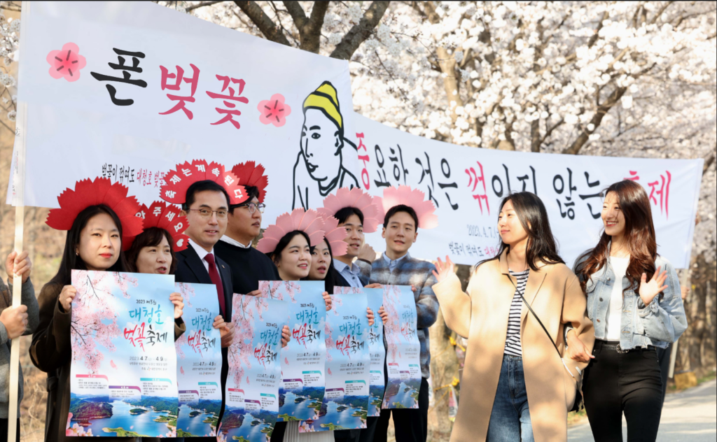 중요한 건 꺾였는데도 그냥 하던 대청호 벚꽃축제 근황