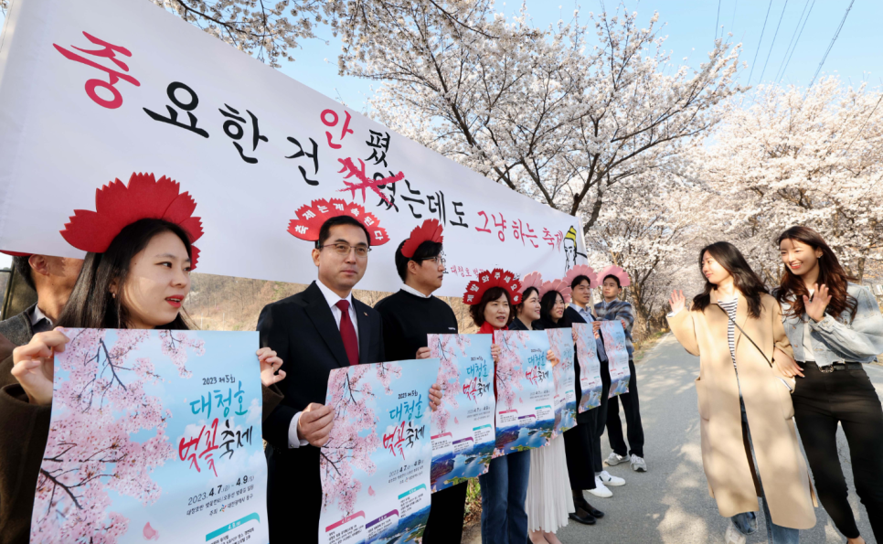 중요한 건 꺾였는데도 그냥 하던 대청호 벚꽃축제 근황