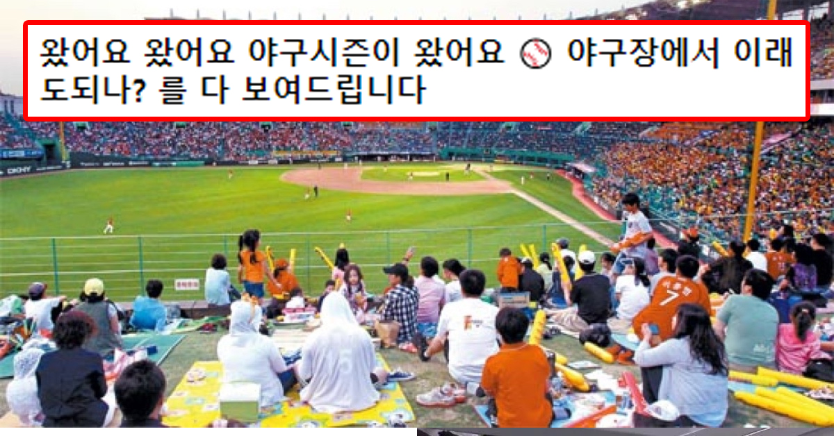 왔어요 왔어요 야구시즌이 왔어요 ⚾️ 야구장에서 이래도되나? 를 다 보여드립니다
