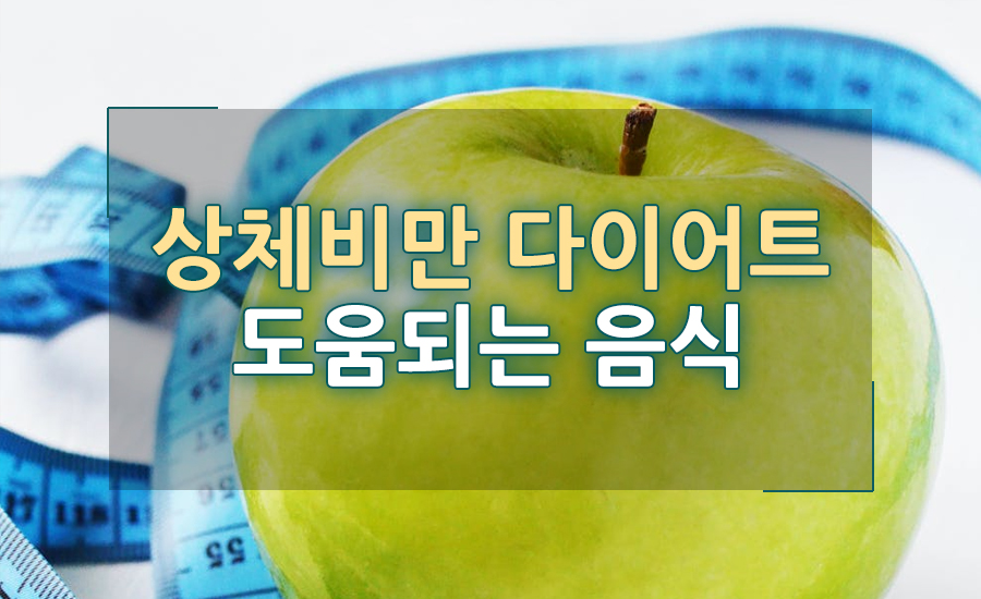 상체 비만 주목! 다이어트에 도움 되는 음식