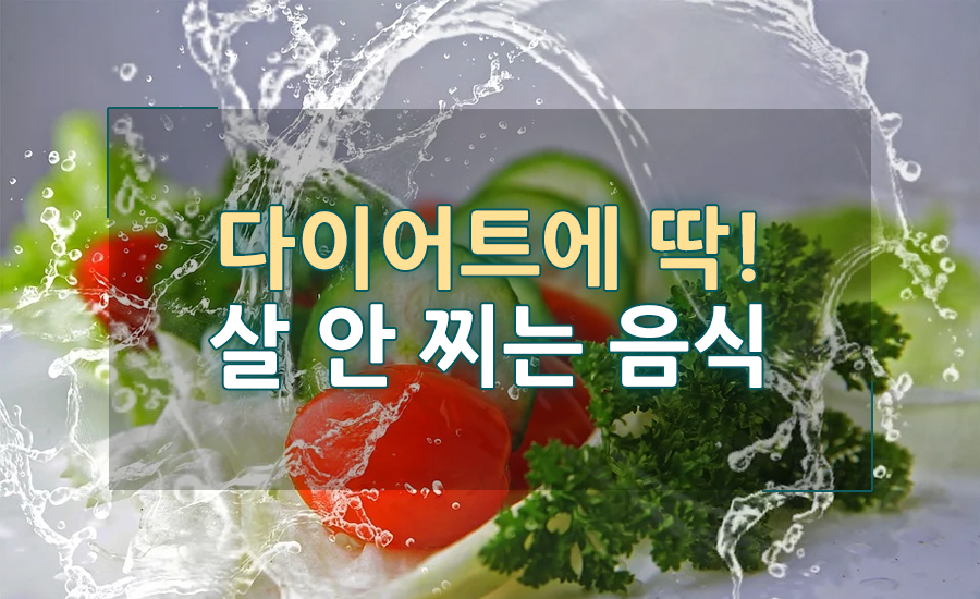 다이어트에 딱! 살 안 찌는 음식
