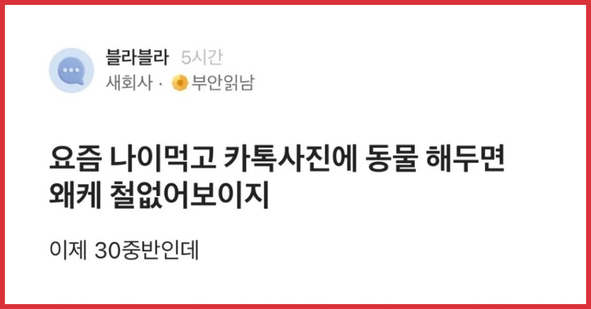요즘 나이먹고 카톡사진에 동물 해두면 왜케 철없어보이지