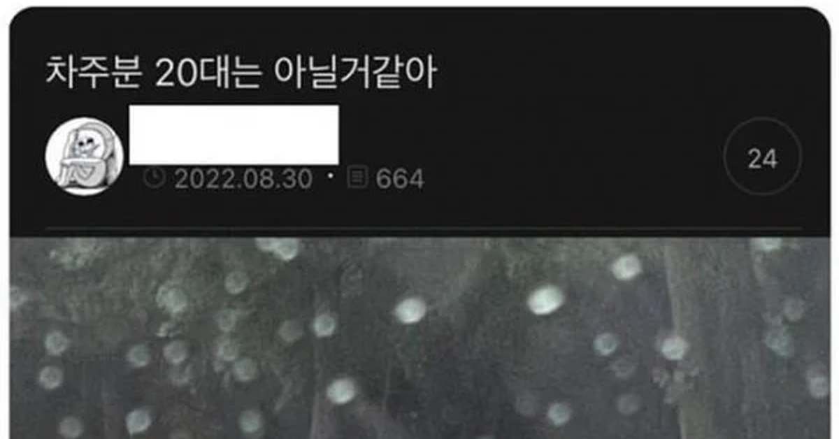 차주분 20대는 아닐거같아
