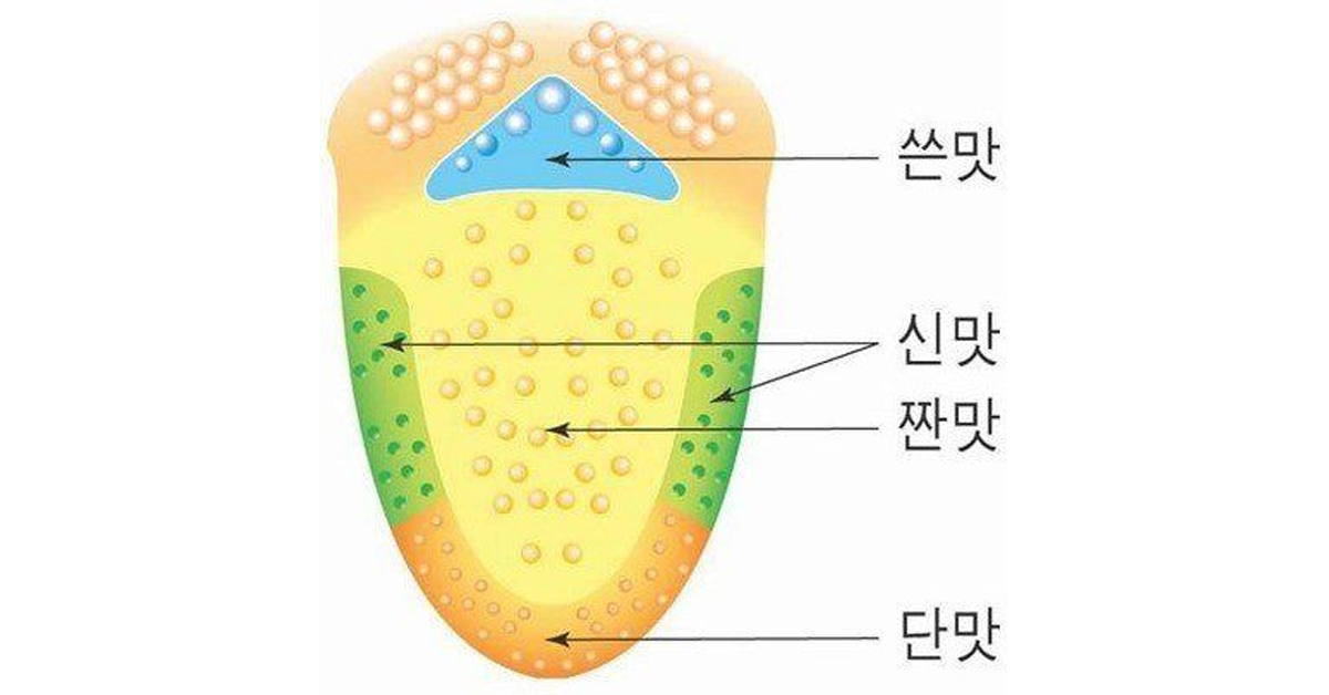 90년대생들이 잘못 배운 과학상식