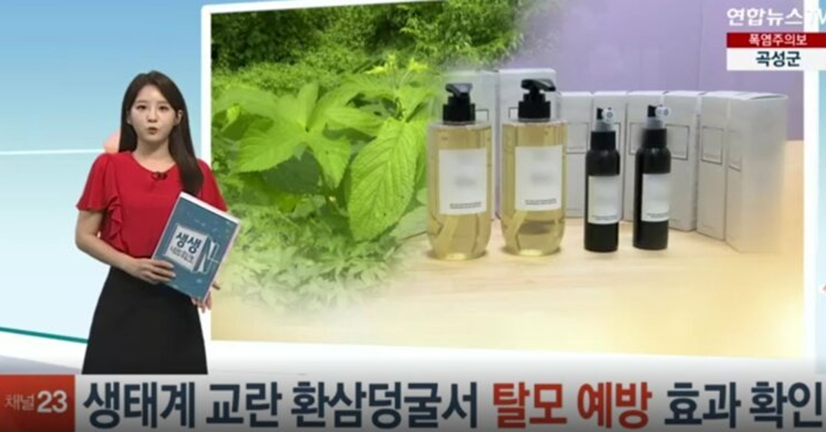 생태계 교란종 환삼덩굴에서 탈모 예방 효과 공식 확인 됨
