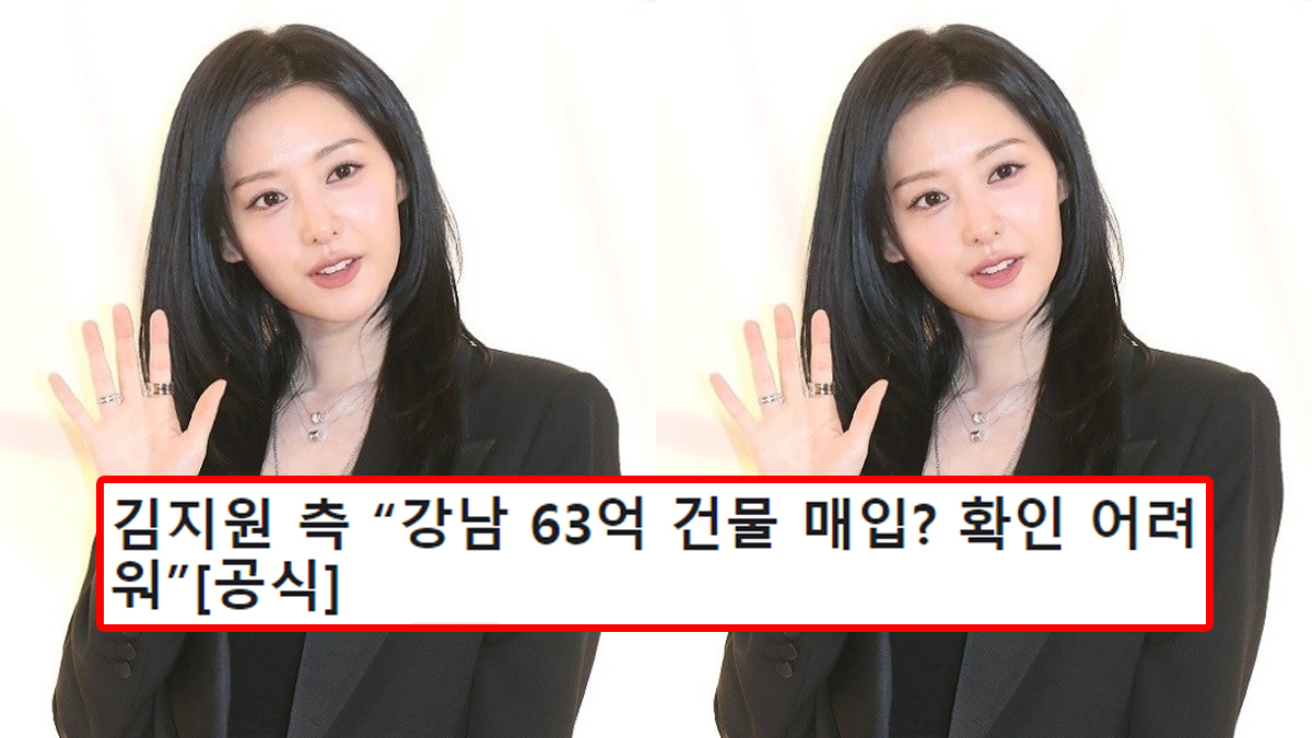 김지원 측 “강남 63억 건물 매입? 확인 어려워”[공식]
