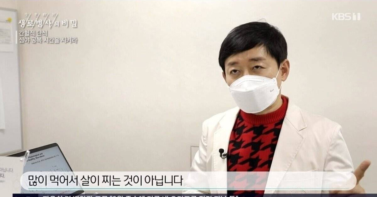 현대인들이 살 찌는 이유