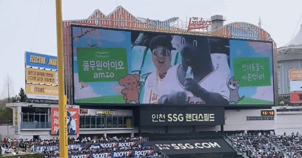 도그데이 기념 야구장 키스타임