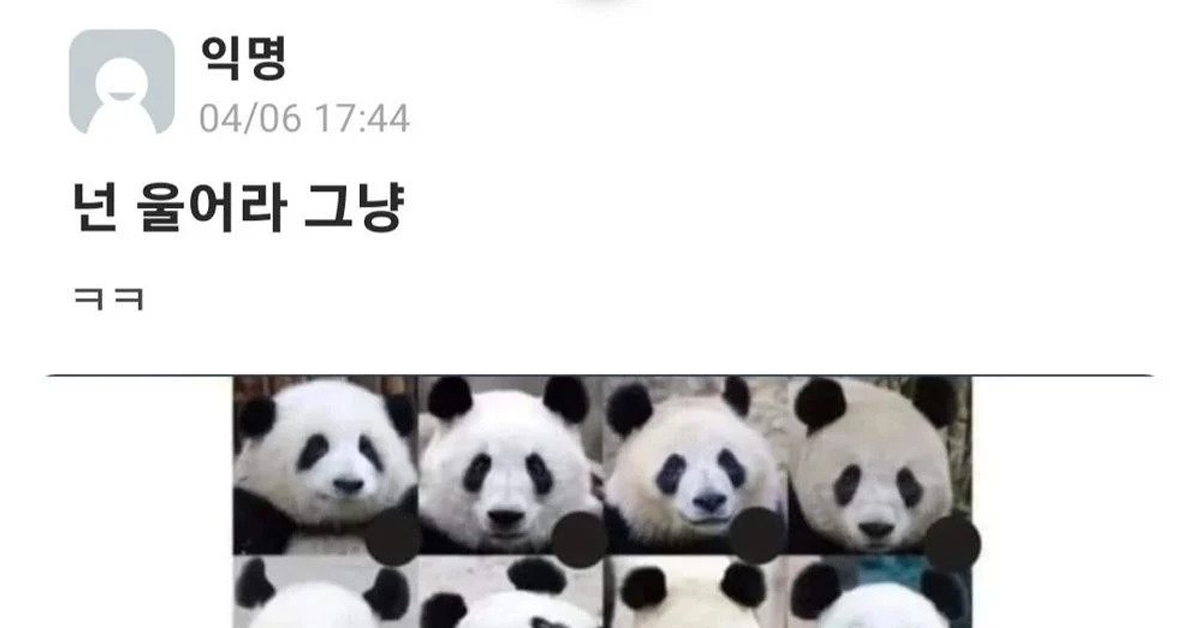 구분도 못할거면서 푸바오 간다고 오열하네