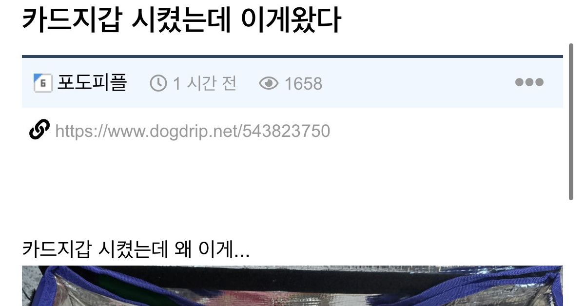 카드지갑 시켰는데 이상한게 왔다