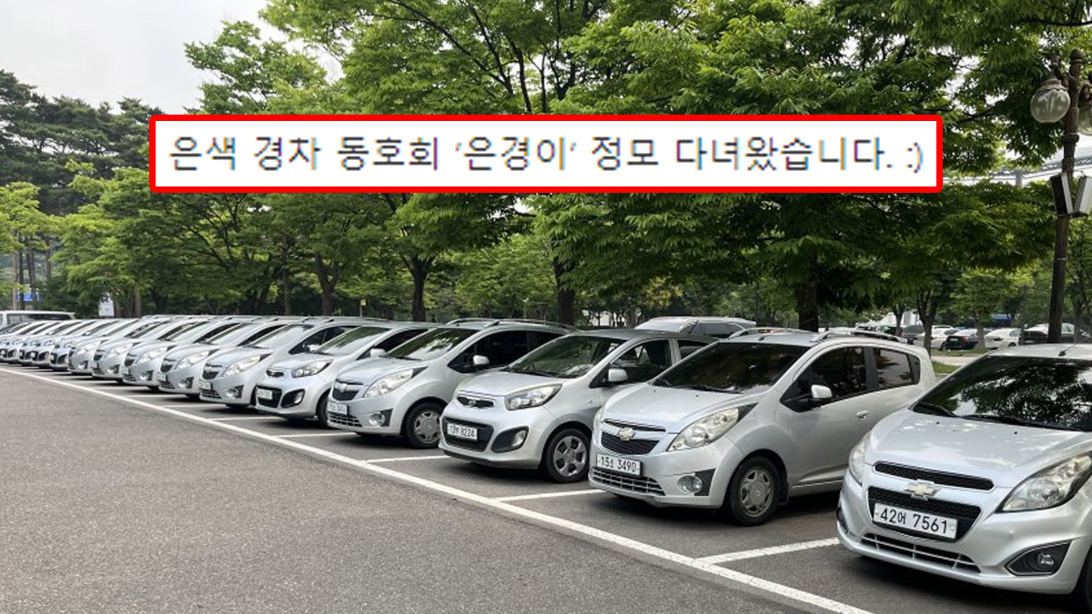 경차 동호회 '은경이' 정모현장