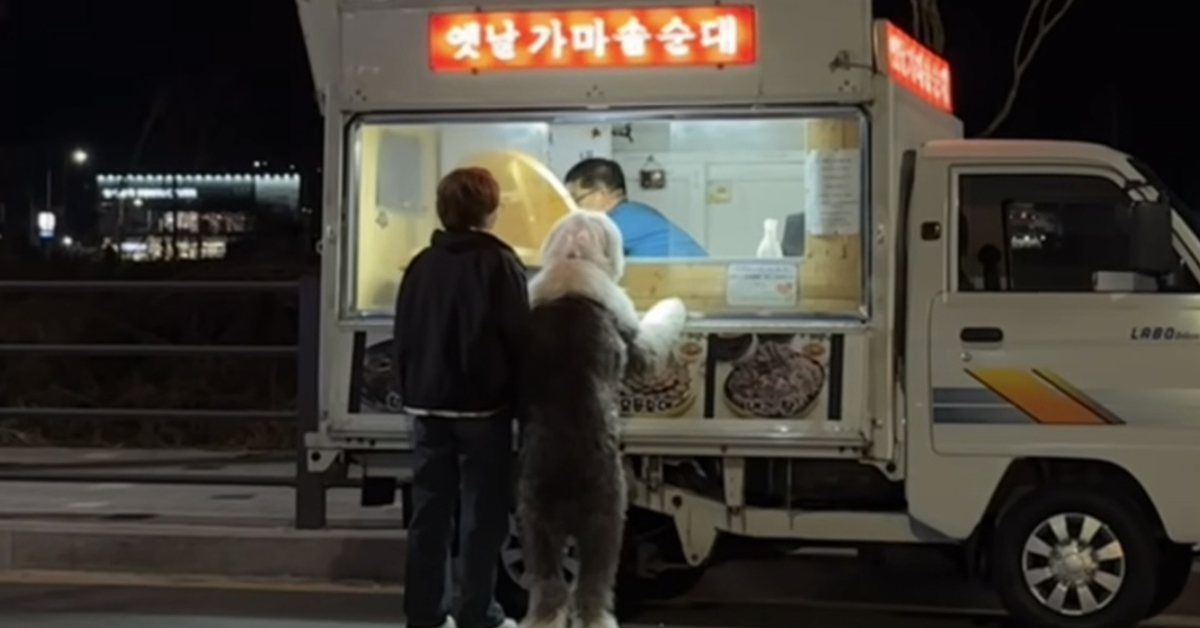 순대 트럭 보고 신나버린 반려견 만두