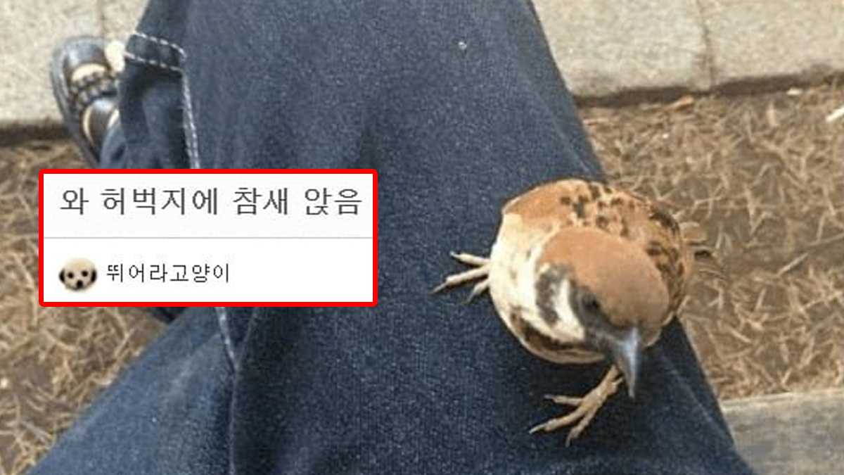 와 허벅지에 참새 앉음