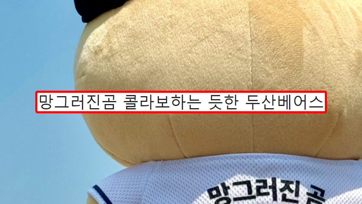 망그러진곰 콜라보하는 듯한 두산베어스