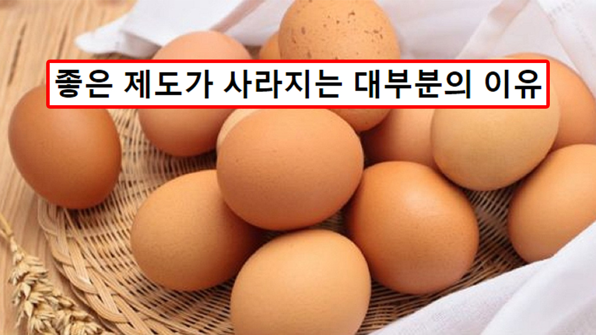 좋은 제도가 사라지는 대부분의 이유