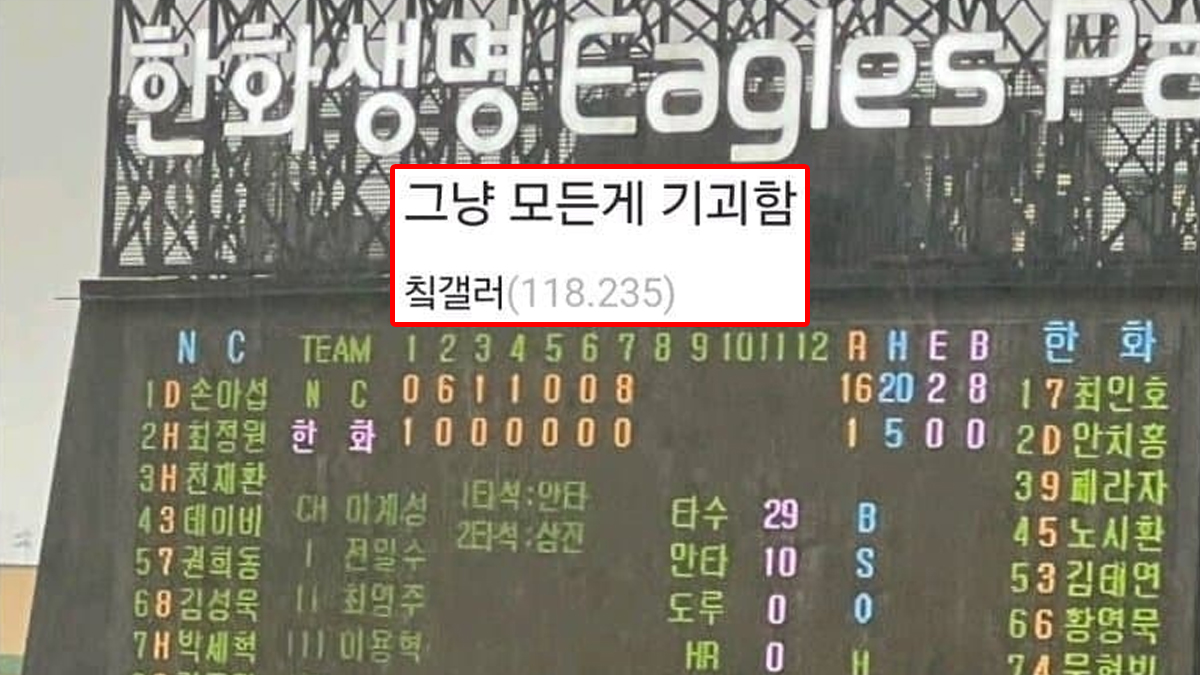 직관와서 모든게 기괴하다는 한화팬