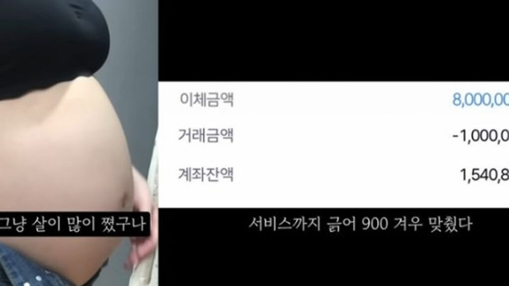 '임신 36주 낙태' 브이로그 논란…정부, 살인 혐의 수사의뢰