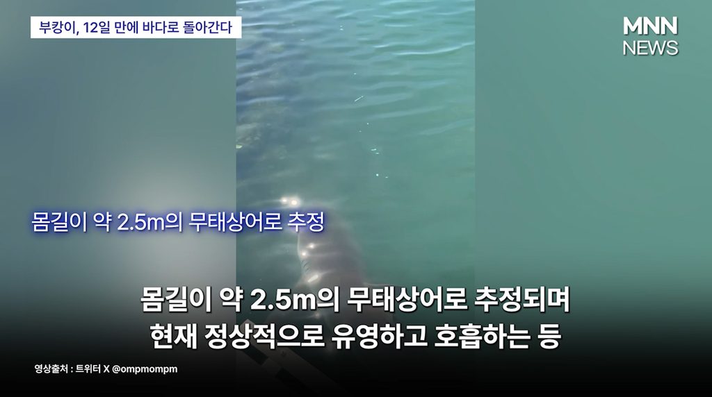 부캉이