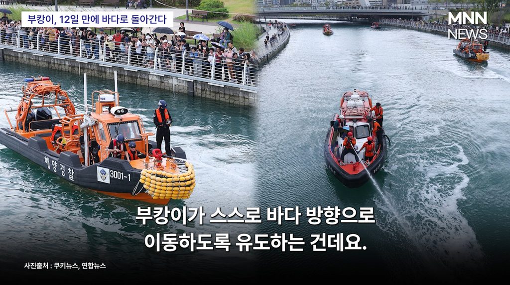 부캉이